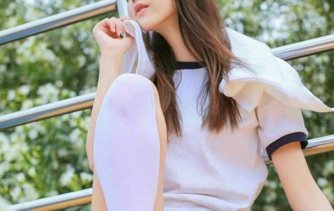 猪胚胎发育过程图详解