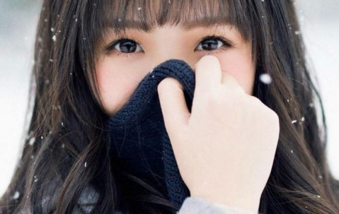 泰迪子宫内膜炎，了解、预防与治疗