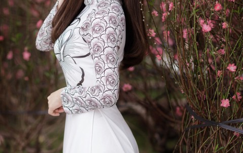 应对卵泡不破的策略，医学与生活方式的结合